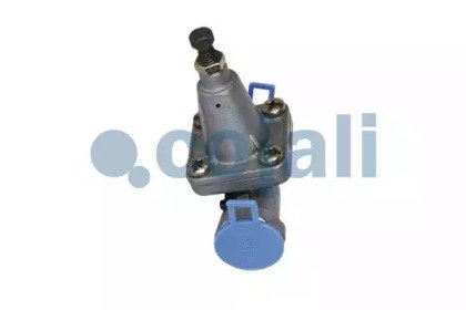COJALI 2206171