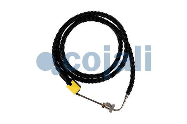 COJALI 2260881 COJALI 2260881