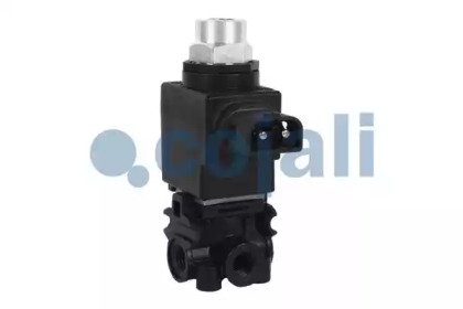 COJALI 2880128
