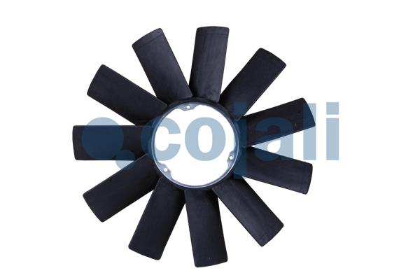COJALI 8111607 COJALI 8111607