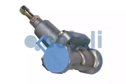 COJALI 2206124