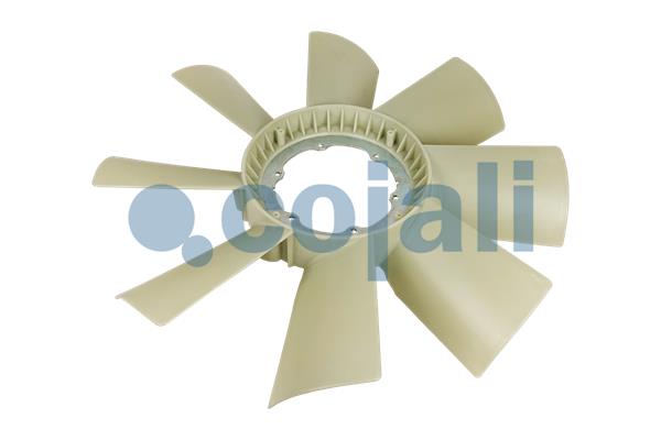 COJALI 7077402 COJALI 7077402