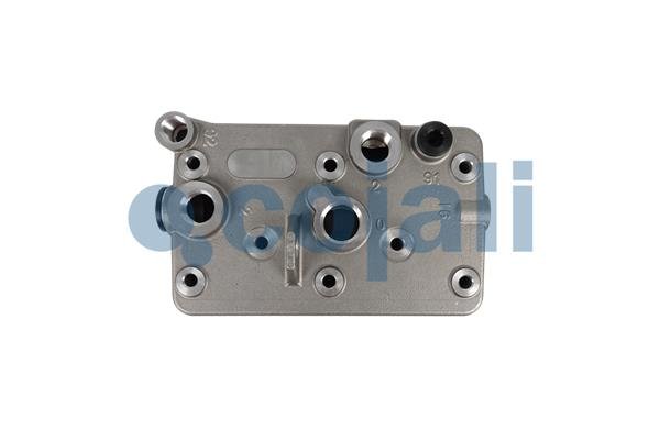 COJALI 25005038