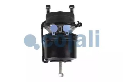 COJALI 2251534