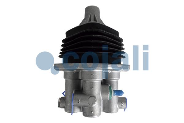 COJALI 2516009 COJALI 2516009