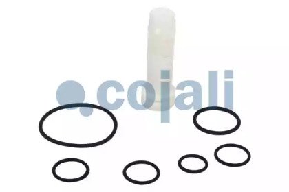 COJALI 6012176 COJALI 6012176