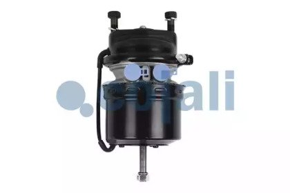 COJALI 2251522
