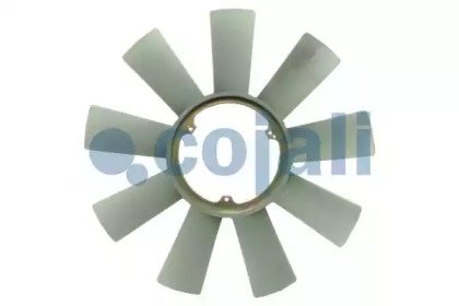 COJALI 8124617 COJALI 8124617