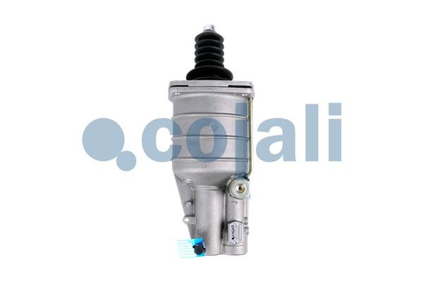 COJALI 2350118 COJALI 2350118