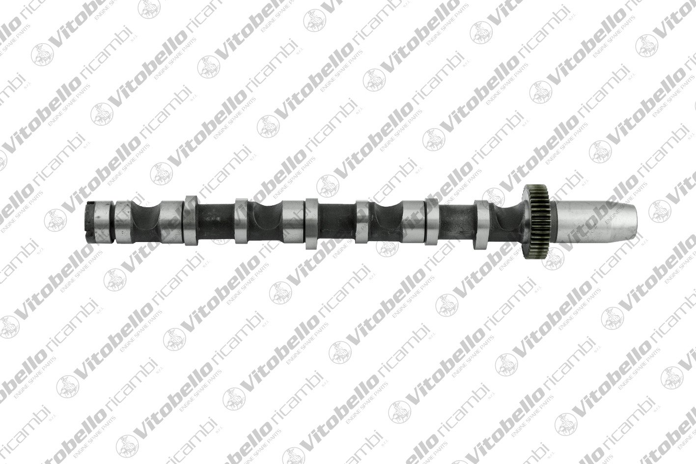 Vitobello Ricambi 1003233N