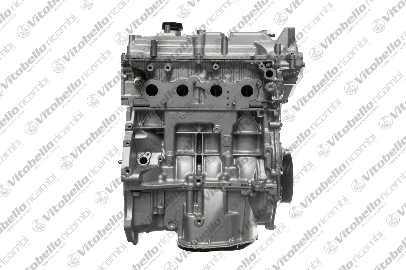 Vitobello Ricambi 1003565R