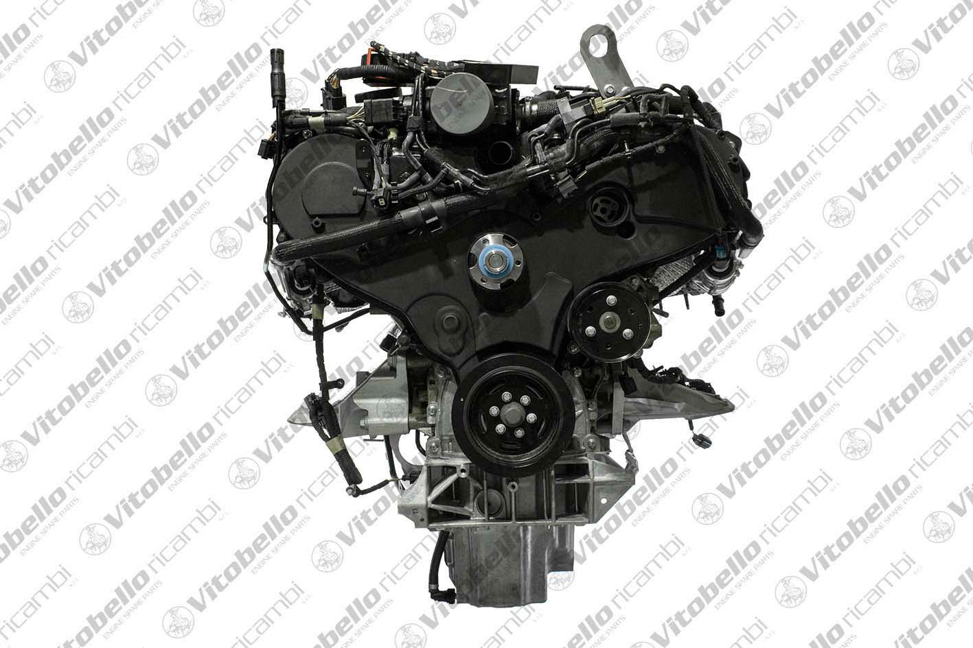 Vitobello Ricambi 1003458NO
