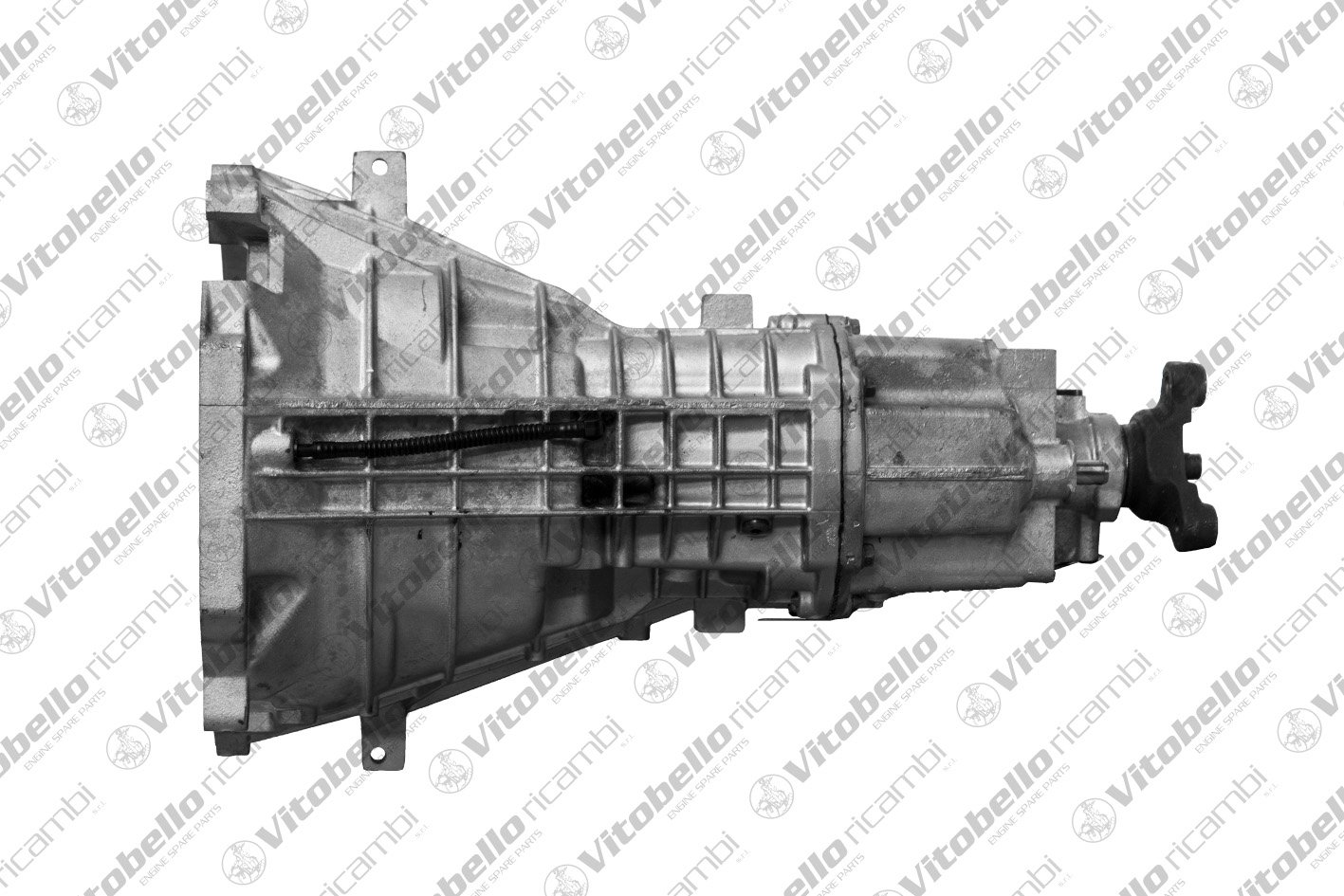 Vitobello Ricambi 1004613R Vitobello Ricambi 1004613R