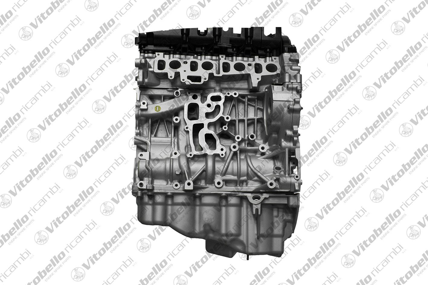 Vitobello Ricambi 1003805R