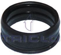 TRICLO 441862