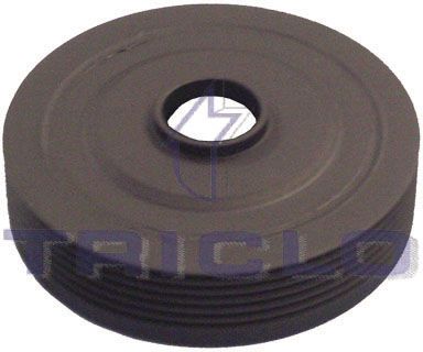 TRICLO 425145