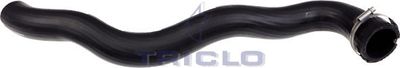 TRICLO 528891
