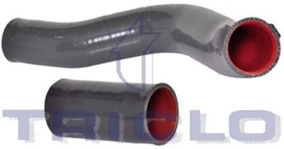 TRICLO 525080 TRICLO 525080