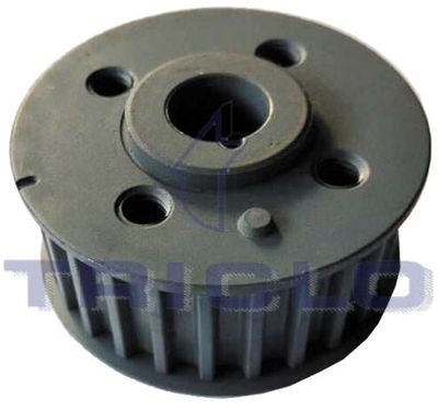 TRICLO 424574