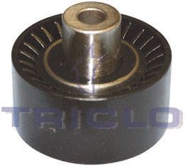 TRICLO 421253