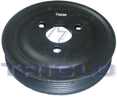 TRICLO 425271
