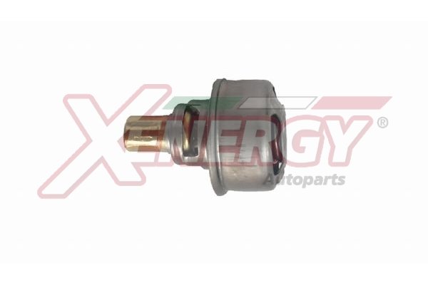 AP XENERGY XT4495.83