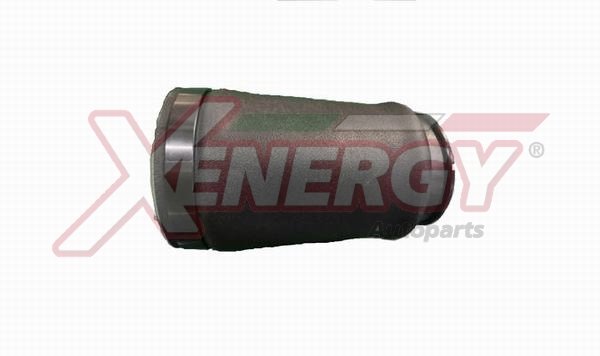 AP XENERGY XPA3827