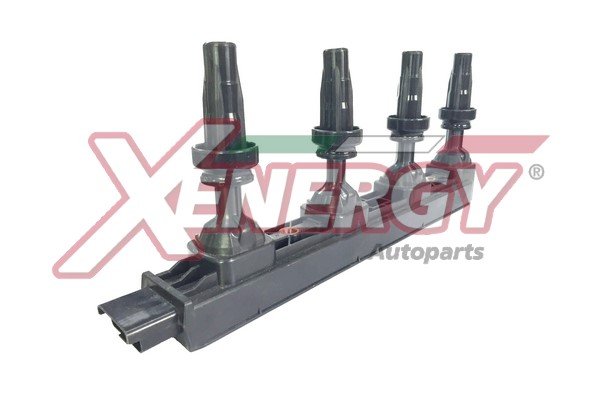 AP XENERGY XE-8079