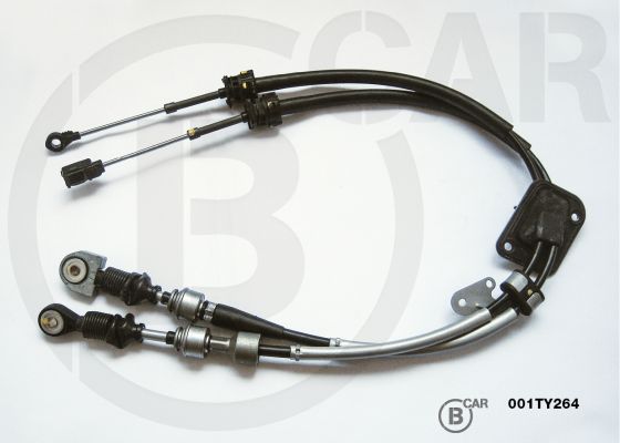 B CAR 001TY264 B CAR 001TY264