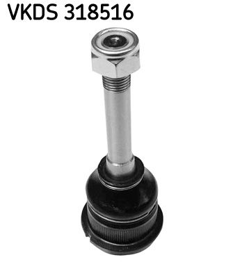 SKF VKDS 318516