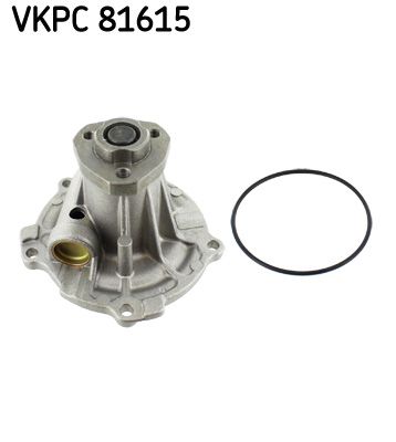 SKF VKPC 81615