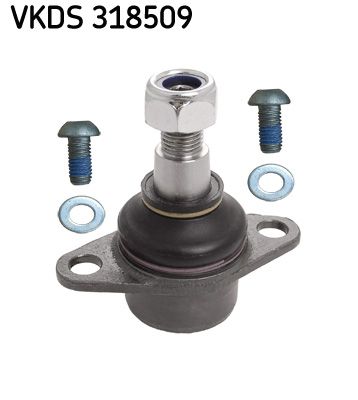 SKF VKDS 318509