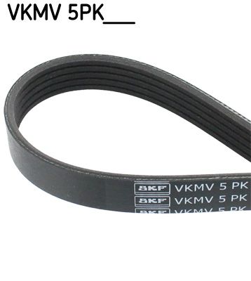 SKF VKMV 5PK1240