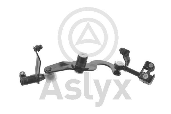 Aslyx AS-203173