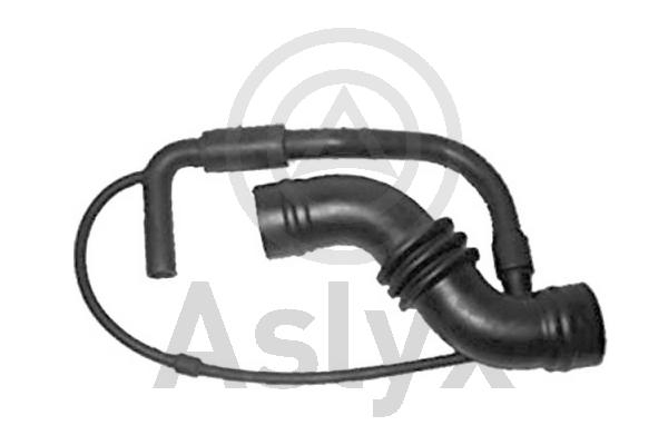 Aslyx AS-203048