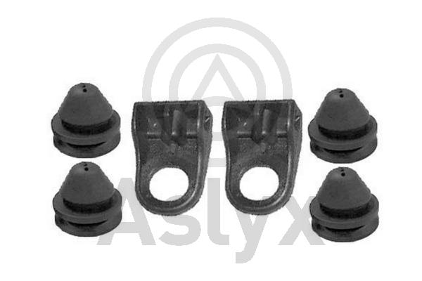 Aslyx AS-506302