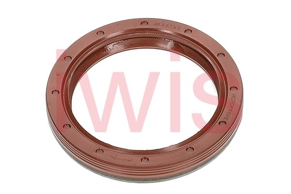 iwis Motorsysteme 59796 iwis Motorsysteme 59796