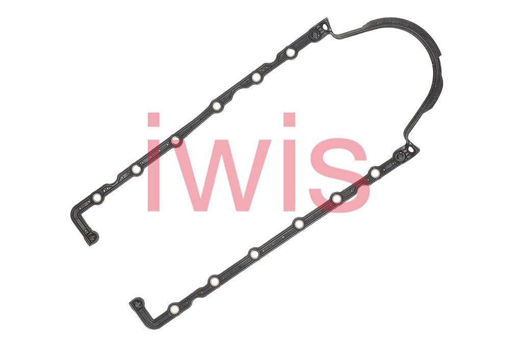 iwis Motorsysteme 60571