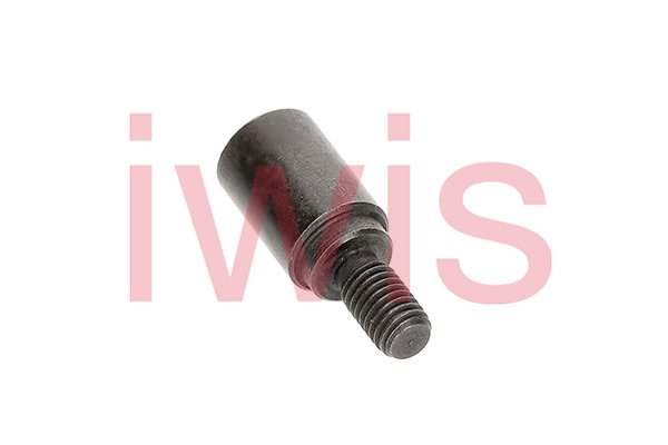 iwis Motorsysteme 59787