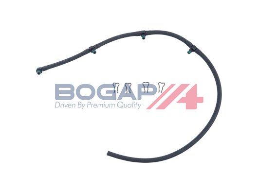BOGAP C1621113