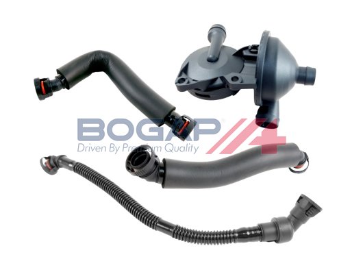 BOGAP B1217117