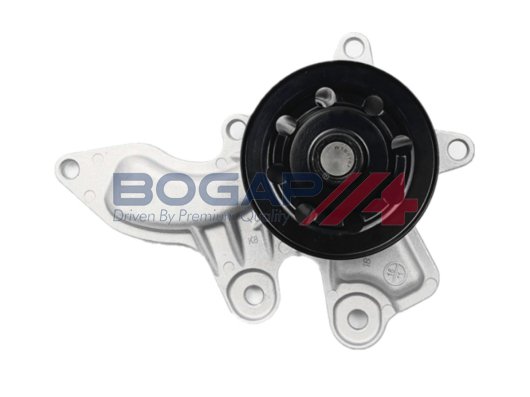 BOGAP T4234109
