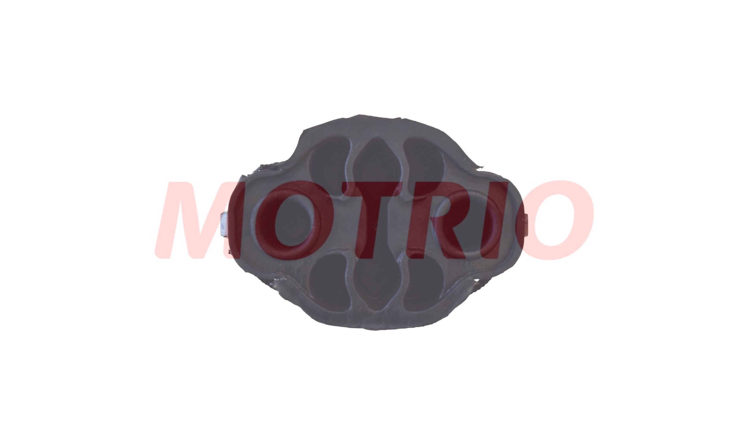 MOTRIO 8550503825