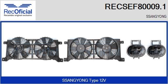 RECOFICIAL RECSEF80009.1 RECOFICIAL RECSEF80009.1