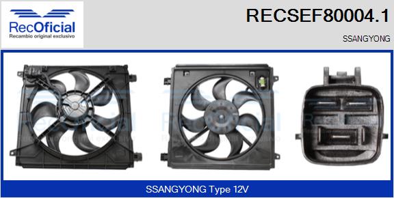 RECOFICIAL RECSEF80004.1 RECOFICIAL RECSEF80004.1