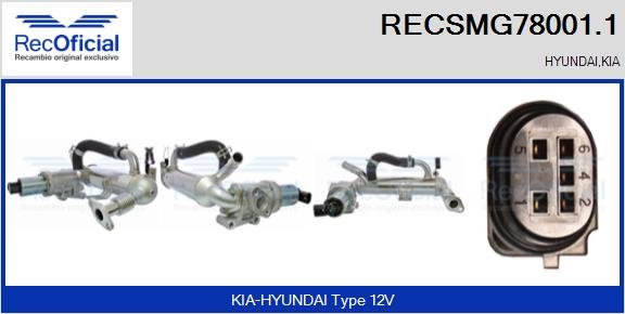 RECOFICIAL RECSMG78001.1