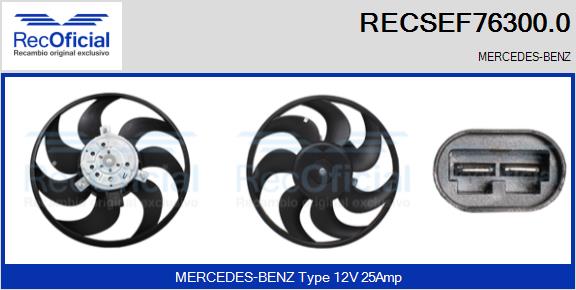 RECOFICIAL RECSEF76300.0