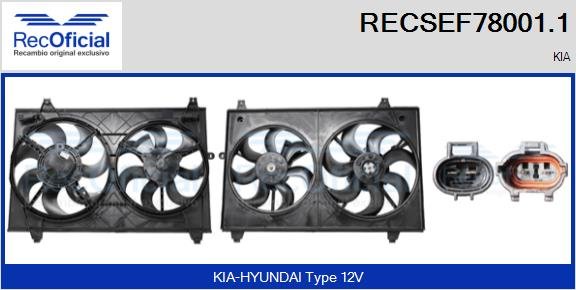 RECOFICIAL RECSEF78001.1 RECOFICIAL RECSEF78001.1