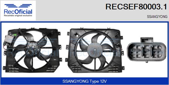 RECOFICIAL RECSEF80003.1 RECOFICIAL RECSEF80003.1