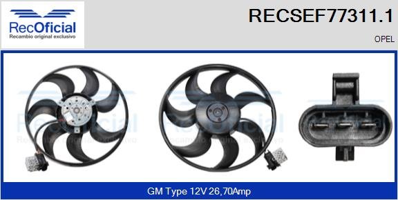 RECOFICIAL RECSEF77311.1